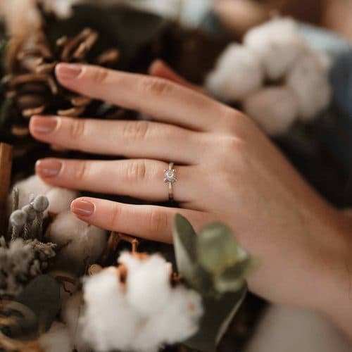 Cerere în căsătorie By The Lake