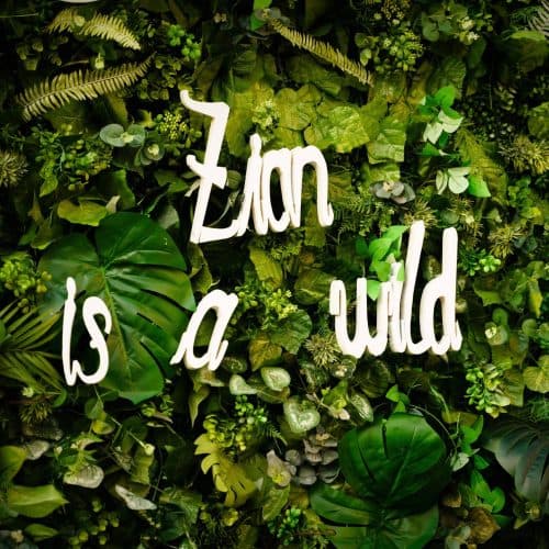 Baby Shower By The Lake